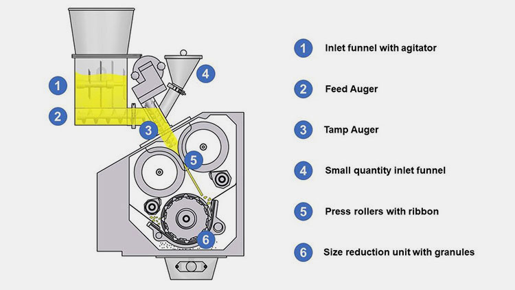 Dry Granulation Process The Ultimate Guide In 2024