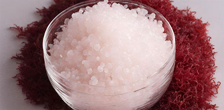 Carrageenan
