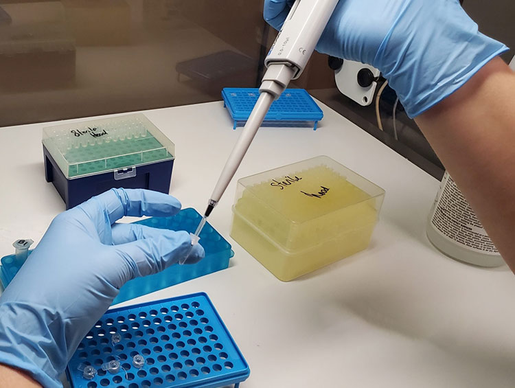 Contamination test