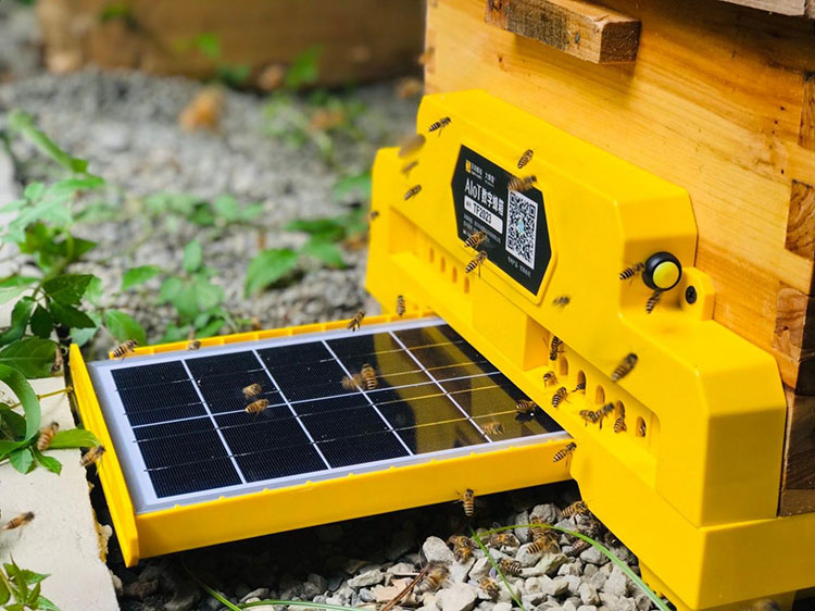 Smart beekeeping