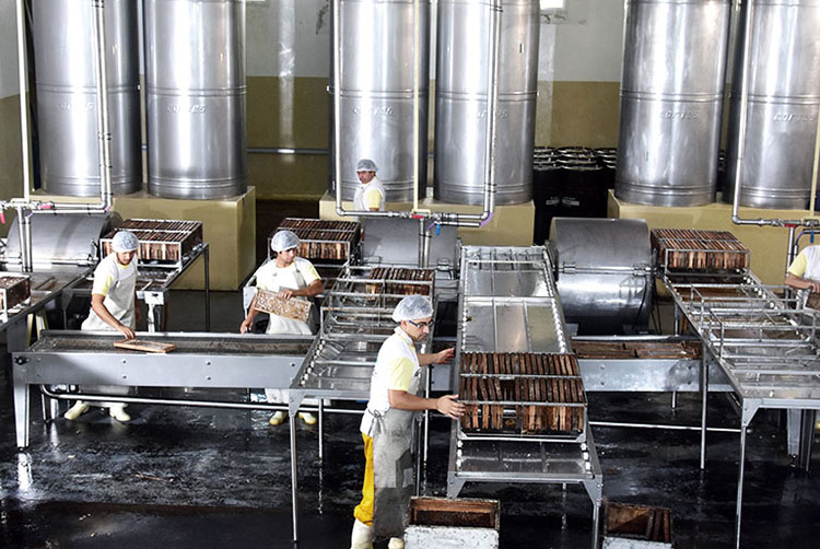 honey manufacturing