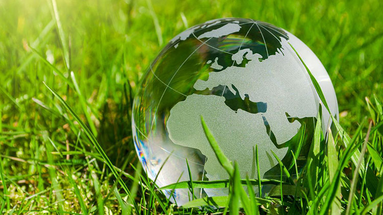Green Packaging Solutions