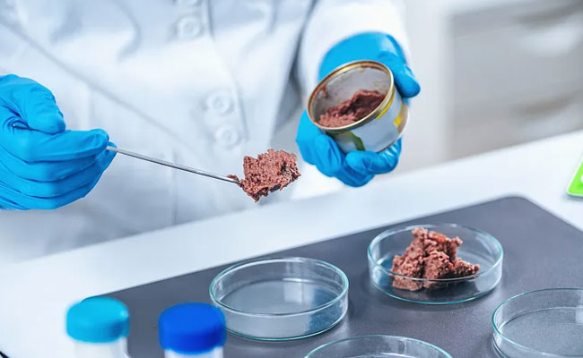 Middle East Case Study