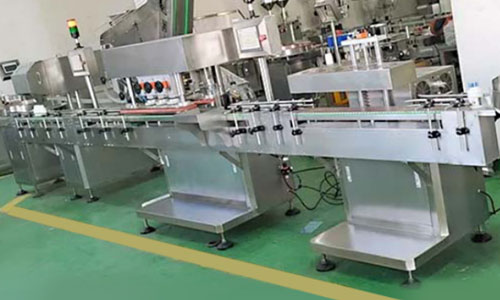 Bottle Counting Line And Capsule Filling Machine Project