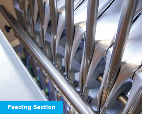 Feeding Section