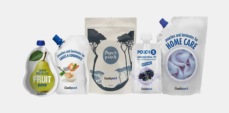 Multi-format pouch filling machine