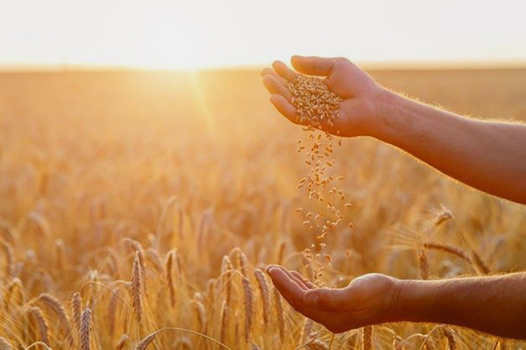 Agricultural-Industry