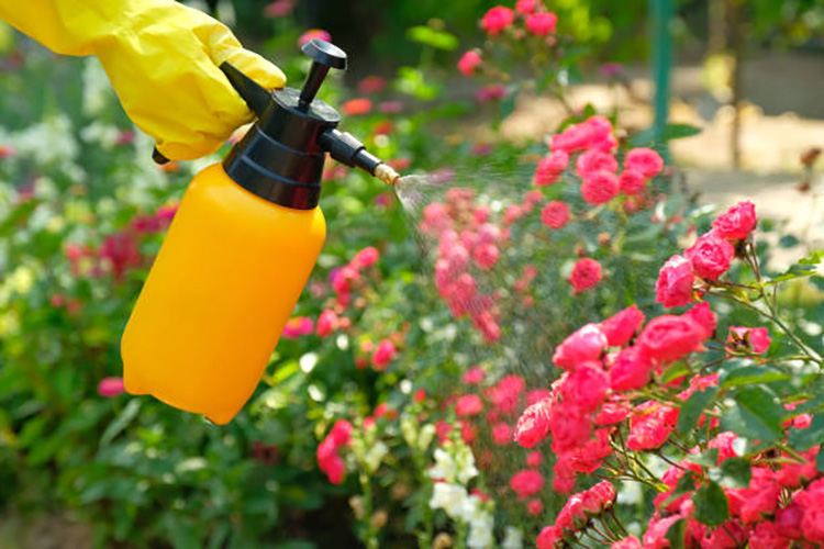 Pesticide Industry
