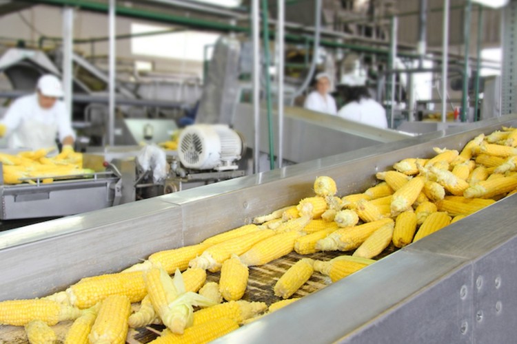 Food Processing Industry
