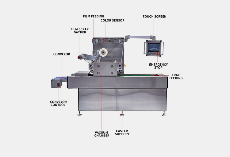 Components Of An Automatic Tray Sealing Machine