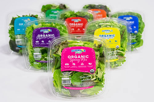 Salad-Packaging-Machine