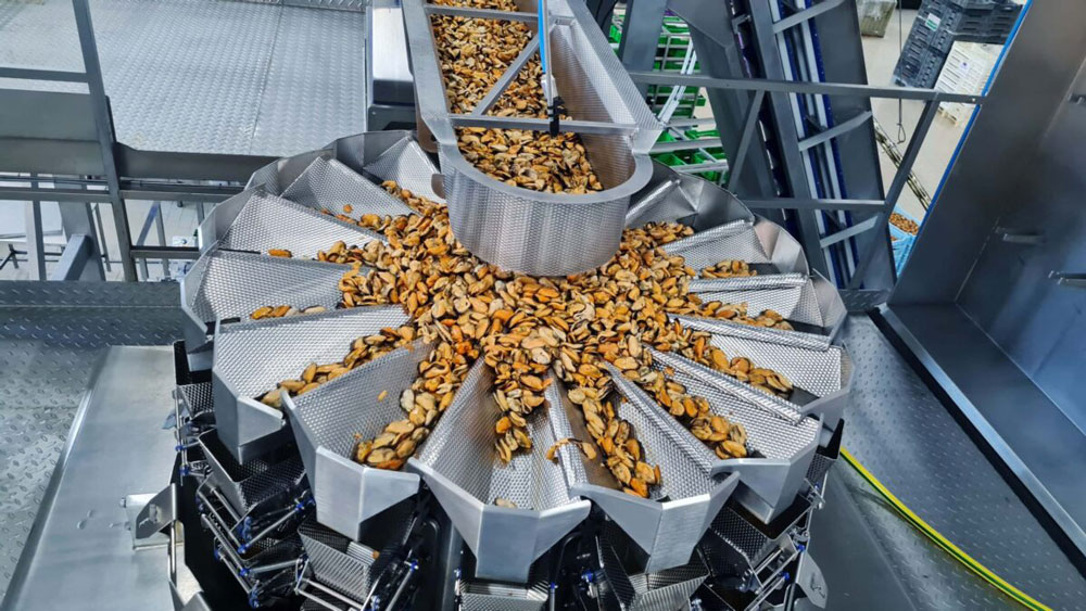 Dried Fruit Packaging-5