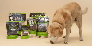 Dog-Treats